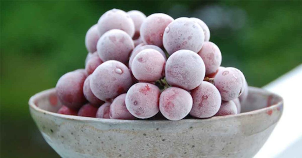 Can Chickens Eat Frozen Grapes, frozen red grapes in a bowl on top a white table in lawn. 